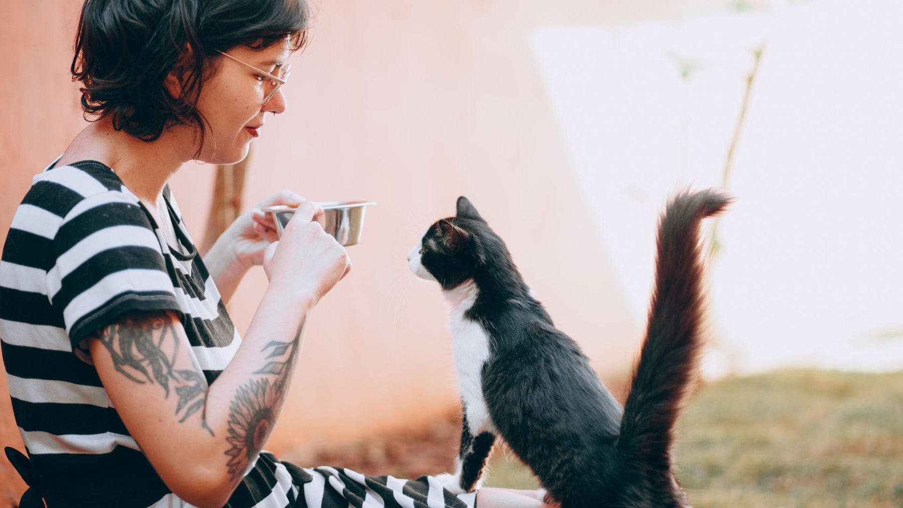 Pet feeding problems and solutions.