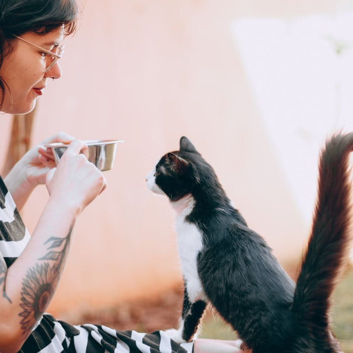 Pet feeding problems and solutions.