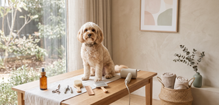Calm pet grooming corner with a relaxed dog and tidy grooming tools