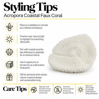 15cm acropora faux coral styling and care tips guide