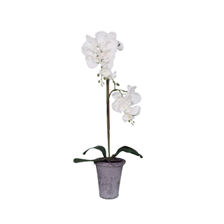 Artificial White Orchid Single Stem Potted Plant 69cm