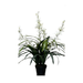 Artificial Dancing Cymbidium Orchid Indoor Potted Flower Plant - Shopica Pty Ltd