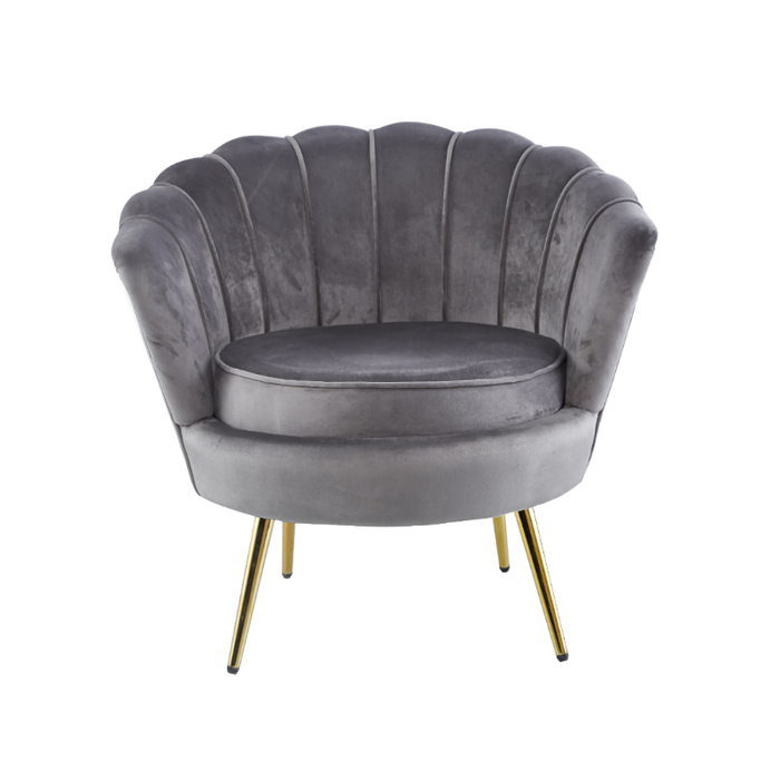 Grey Velvet Sofa  Accent Chair