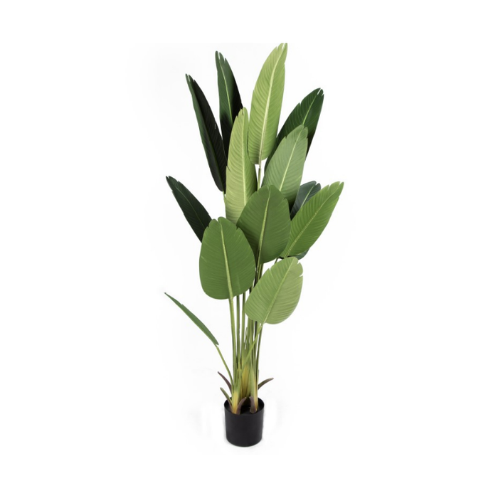Tall and dramatic Artificial Bird of Paradise Plant stands as a proud testament to enduring, maintenance-free beauty