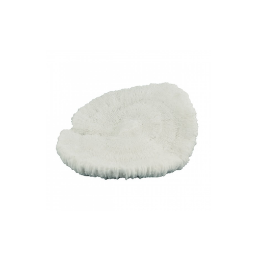 The Acropora Coastal Faux Coral Ornament brings a vibrant and sophisticated touch to home decor, marrying the spirit of the sea with artisanal flair.