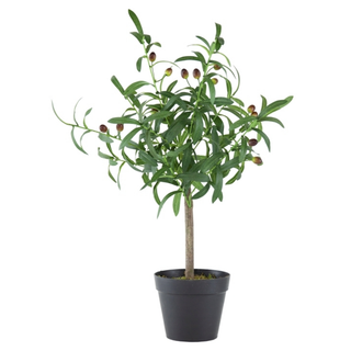 Olive Tree With Fruit In A Pot Farm Look Vibe Artificial Tree