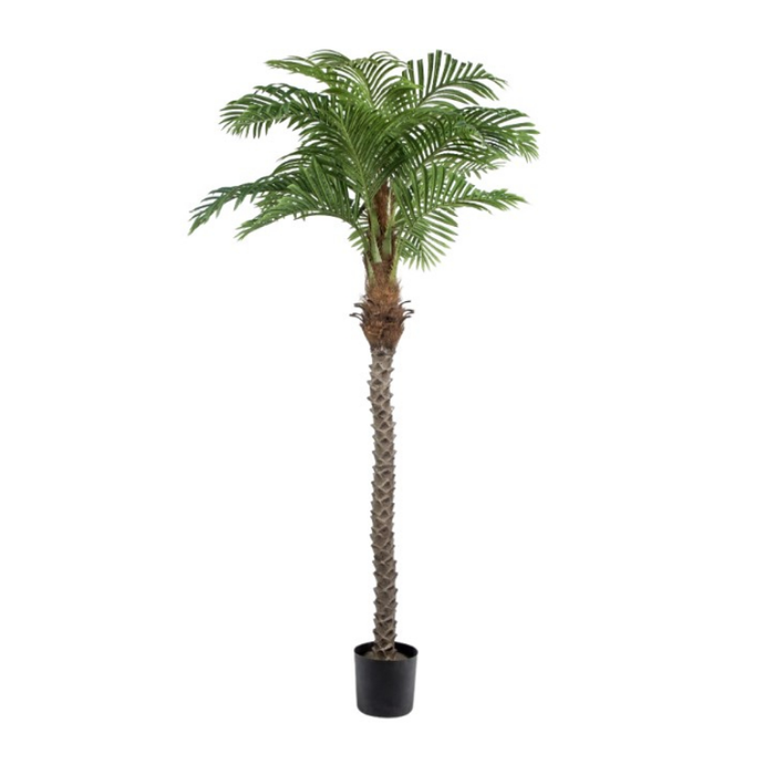 230cm Artificial Phoenix Indoor Potted Palm Tree