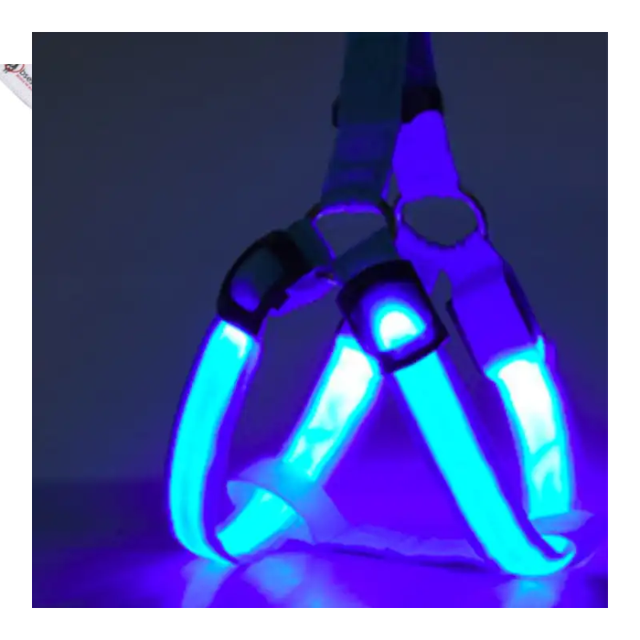 Comfort meets visibility: Blue LED dog harness perfect for evening walks.
