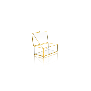 Showcase your valuables in this Gold Transparent Treasure Brass Glass Box