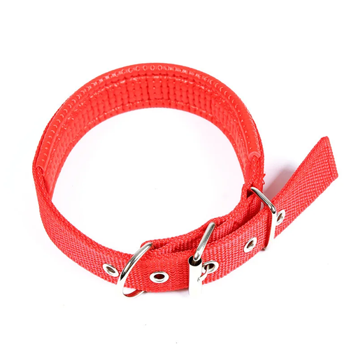 Luxurious red padded dog collar adjustable for comfortable wear