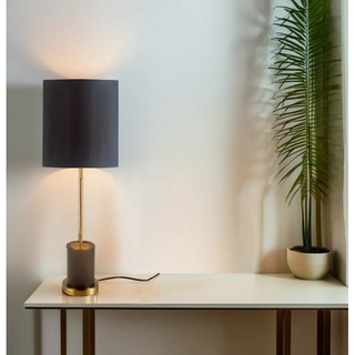 Modern tall table lamp for console table styled beside indoor plant.