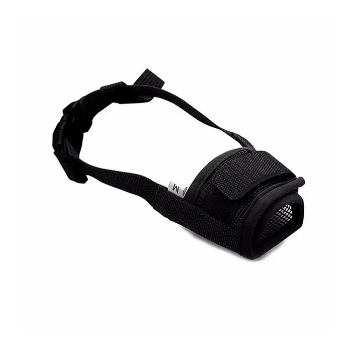 Comfortable dog wearing the Gentle Hug Soft Mesh Dog Muzzle on a serene walk