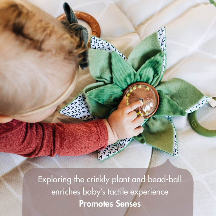Tiny Love Boho Chic Luxe Gymini