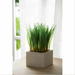 Artificial Faux-Grass Square Plante next to a window