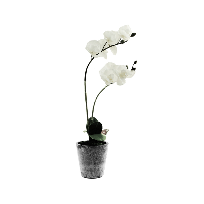 Artificial Two Stemmed White Orchid Potted Plant