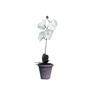 Artificial White Orchid Single Stem Potted Plant