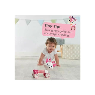 Baby Playing With Florence Pink Tiny Love Rolling Companion