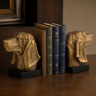 Bloodhound Head Bookend Set holding books on a study shelf