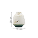 Coastal Vase Dimensions