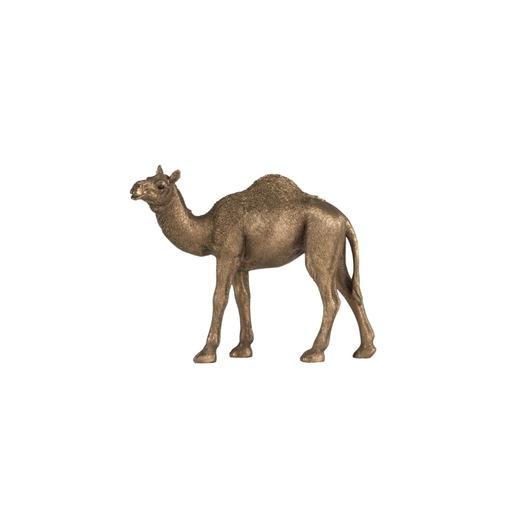 Desert Lifestyle Vibes Camel