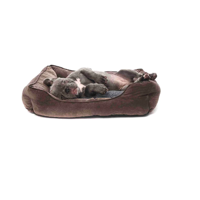Dog Laying on Premium Brown Soft Puppy Pet Bed