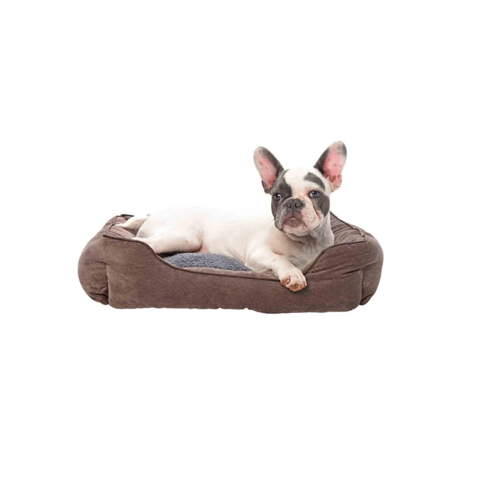 Dog Laying on the Premium Brown Soft Puppy Pet Bed