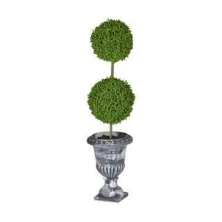 Double Ball Topiary in Ornate Planter