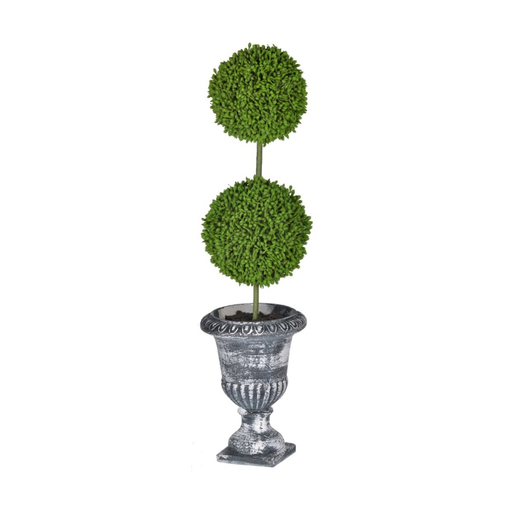 Double Ball Topiary in Ornate Planter