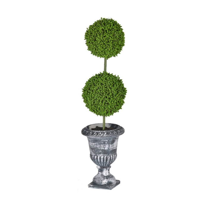Double Ball Topiary in Ornate Planter