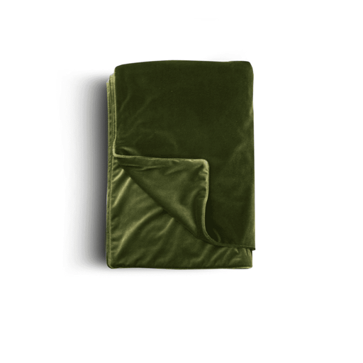 Olive Green Velvet Throw with Trim