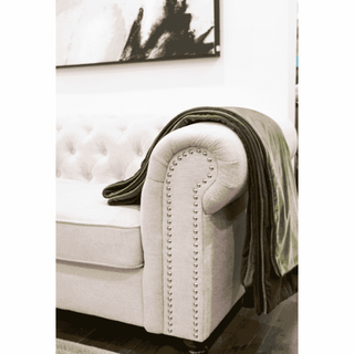 Olive Green Velvet Throw with Trim On Sofa