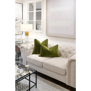 Olive Velvet Cushion On Sofa