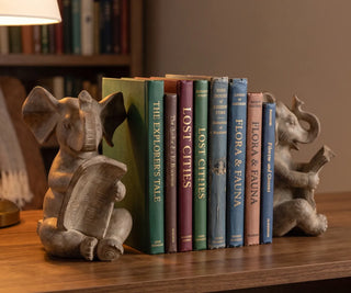 Reading Elephant Bookend Set holding books on a study shelf