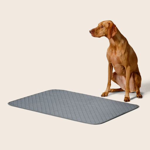 Snooza Large 2 Pack Washable Reusable Pee Pad