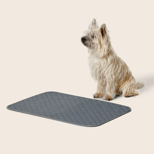 Snooza Small 2-Pack Washable Reusable Pee Pad Size