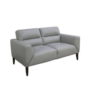 Sonoma Silver Elegance 2 Seater Leather Lounge