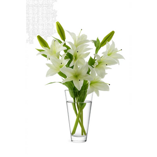 Tapered Clear Glass Vase with flowers