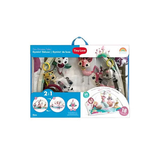 Tiny Love Baby Playmat Tiny Princess Tales Gymini Deluxe Packaging
