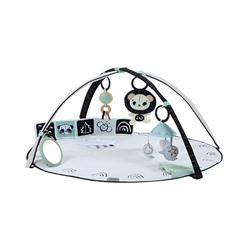 Tiny Love Black & White Décor Developmental Gymini