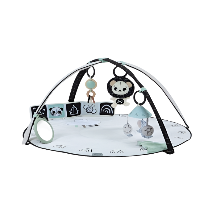 Tiny Love Black & White Décor Developmental Gymini