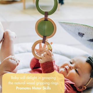Tiny Love Boho Chic Luxe Gymini Grasping Toy