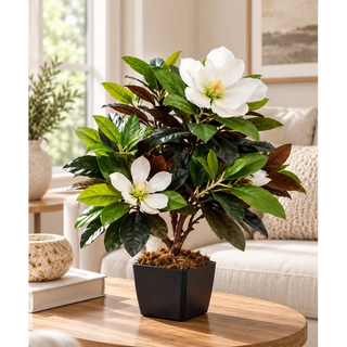 Artificial magnolia tree with white flowers on round oak coffee table by cream sofa