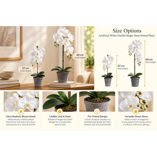 Artificial white orchid potted plant size options 37cm and 69cm with bloom and leaf close ups