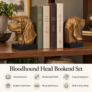 Bloodhound head bookend set features card with brushed gold busts on wooden bookshelf