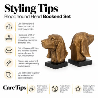 Bloodhound head bookend set styling tips and care tips
