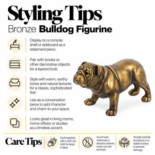 Bronze bulldog figurine styling tips and care tips