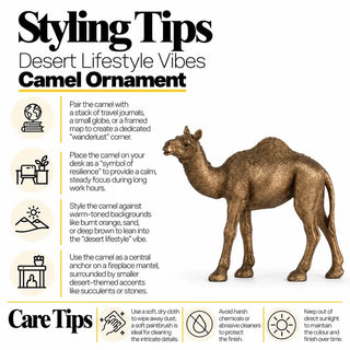 Desert camel ornament styling tips and care tips