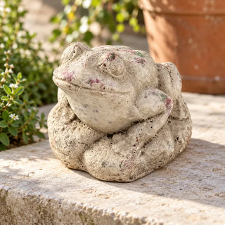 Earthy frog outdoor decoration on sandstone step beside terracotta pot