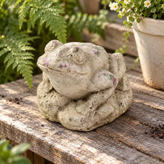 Earthy frog outdoor decoration on weathered timber potting bench beside fern