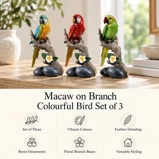 Macaw on branch bird set of 3 features card on oak tabletop beside white vase